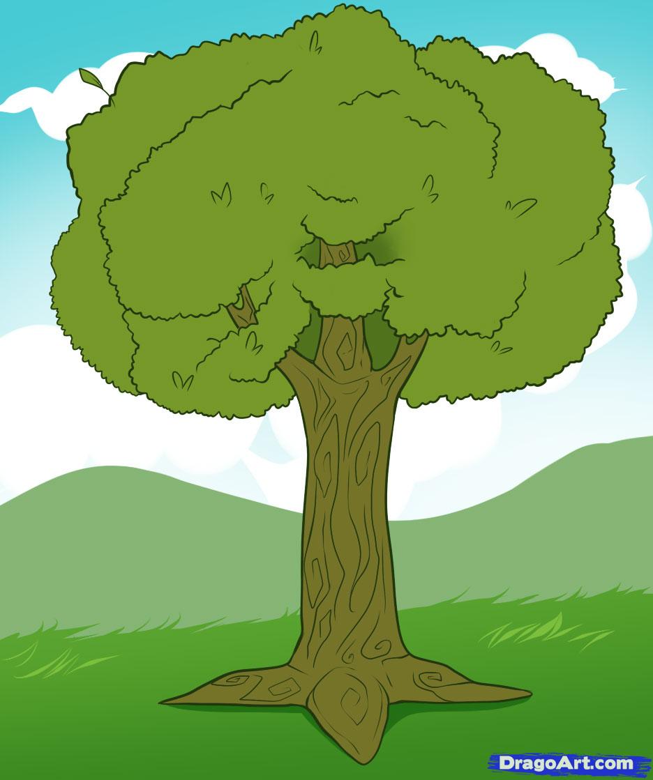 936x1119 How To Draw Branches, Step - Big Tree Drawing