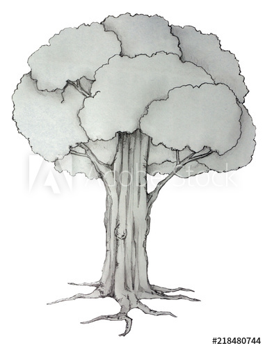 381x500 Object Of Sketch Drawing Nature Big Tree On White Background - Big Tree Drawing