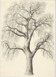 191x263 Pencil Sketch Of Old Big Tree Pencil Drawings Drawings, Pencil - Big Tree Drawing