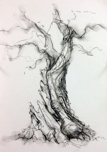 Big Tree Drawing at PaintingValley.com | Explore collection of Big Tree ...