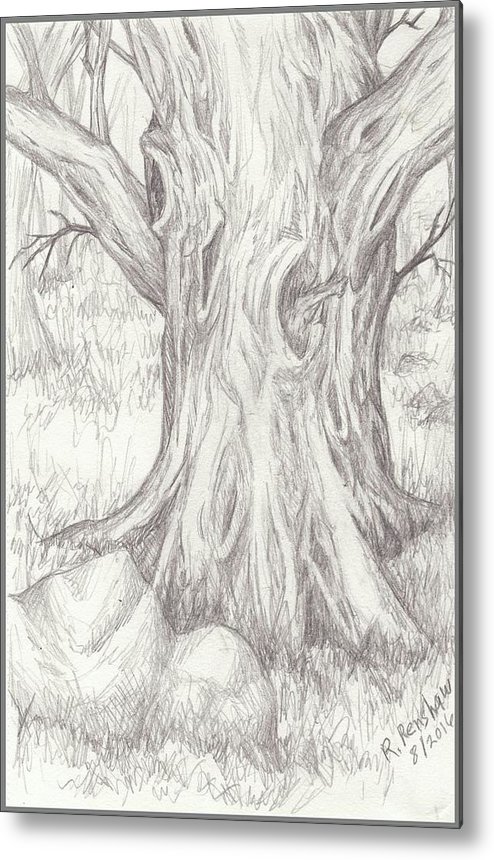 Big Tree Drawing at PaintingValley.com | Explore collection of Big Tree ...