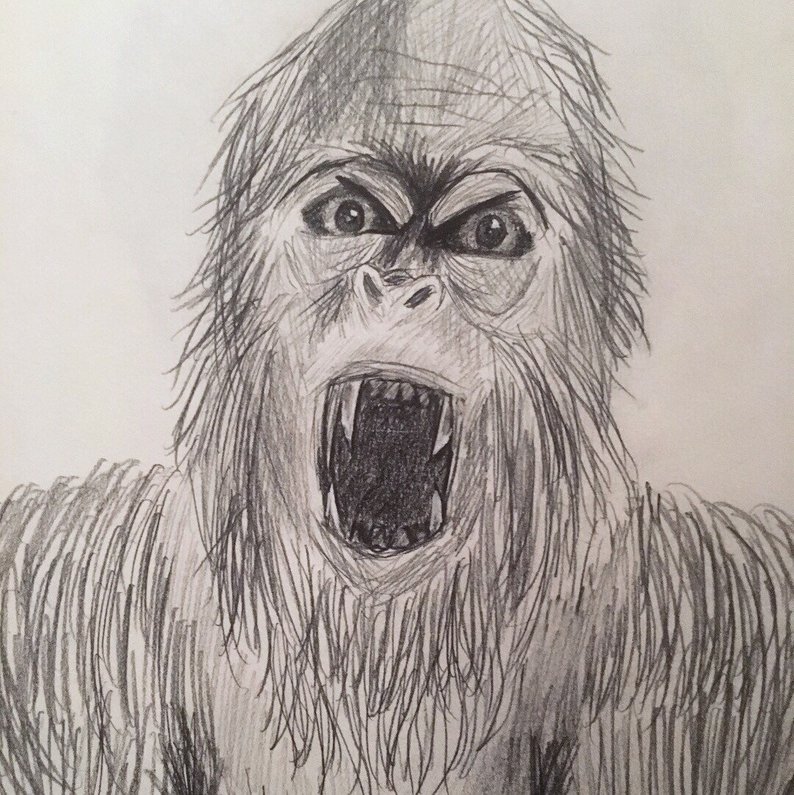 Bigfoot Drawing at Explore collection of Bigfoot