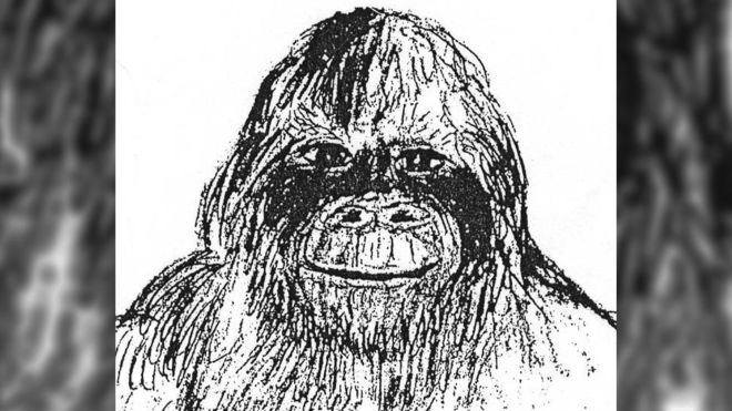 660x371 bigfoot researcher's lawsuit tossed out - Bigfoot Drawing