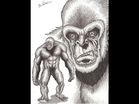 480x360 gibbon inspired bigfoot - Bigfoot Drawing