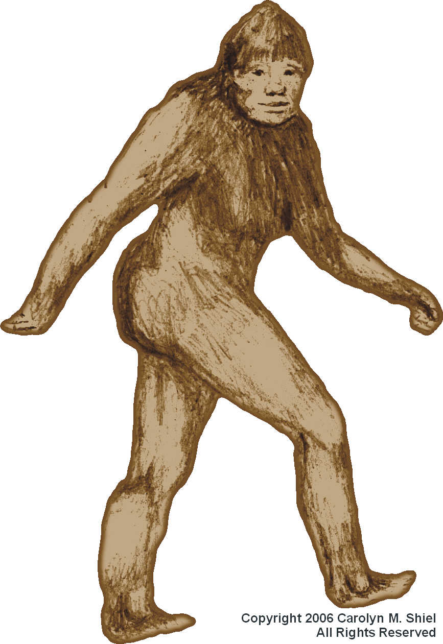 867x1261 is there a bigfoot in your backyard michigan author offers - Bigfoot Drawing