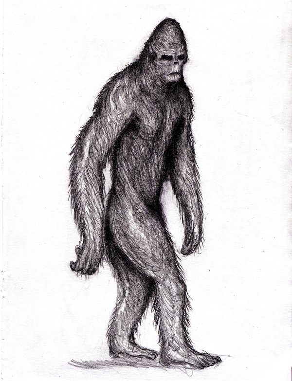 600x783 bigfoot drawing vintage for free download - Bigfoot Drawing