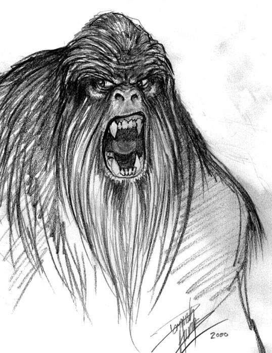 Bigfoot Drawing at PaintingValley.com | Explore collection of Bigfoot