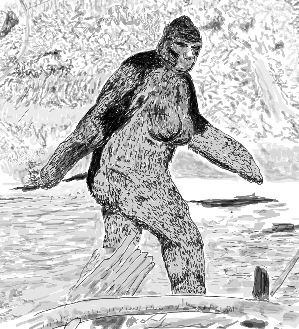 1000x1100 bigfoot's genitals what do we know tetrapod zoology - Bigfoot Drawing