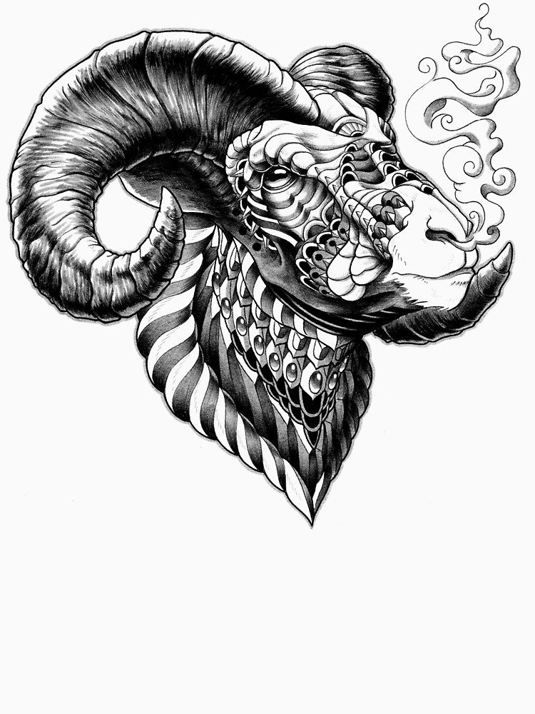 750x1000 bighorn sheep women's fitted scoop t shirt - Bighorn Sheep Drawing