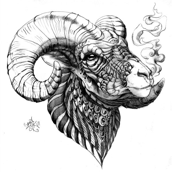 600x600 bighorn sheep on behance - Bighorn Sheep Drawing