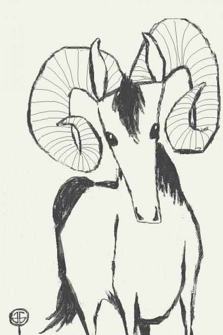 453x680 bighorn sheep nature drawings pictures drawings ideas for kids - Bighorn Sheep Drawing