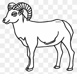 320x307 big horn clipart clipground cow clip art dog clip art - Bighorn Sheep Drawing