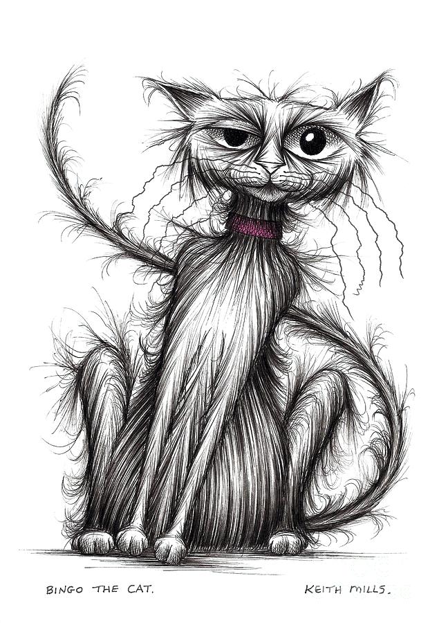 635x900 bingo the cat drawing - Bingo Drawing