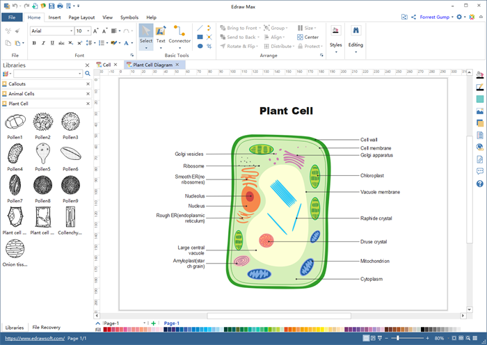 700x496 biology diagram and illustration software - Biology Drawings