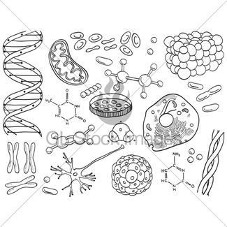 325x325 biology drawings seamless pattern background gl stock images - Biology Drawings