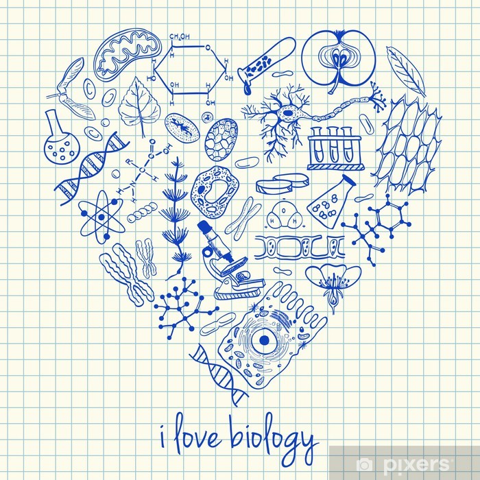 700x700 biology drawings in heart shape sticker we live to change - Biology Drawings