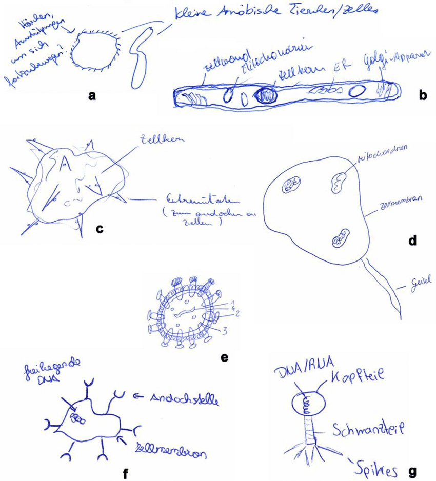 850x938 examples for virus drawings from first year biology students - Biology Drawings
