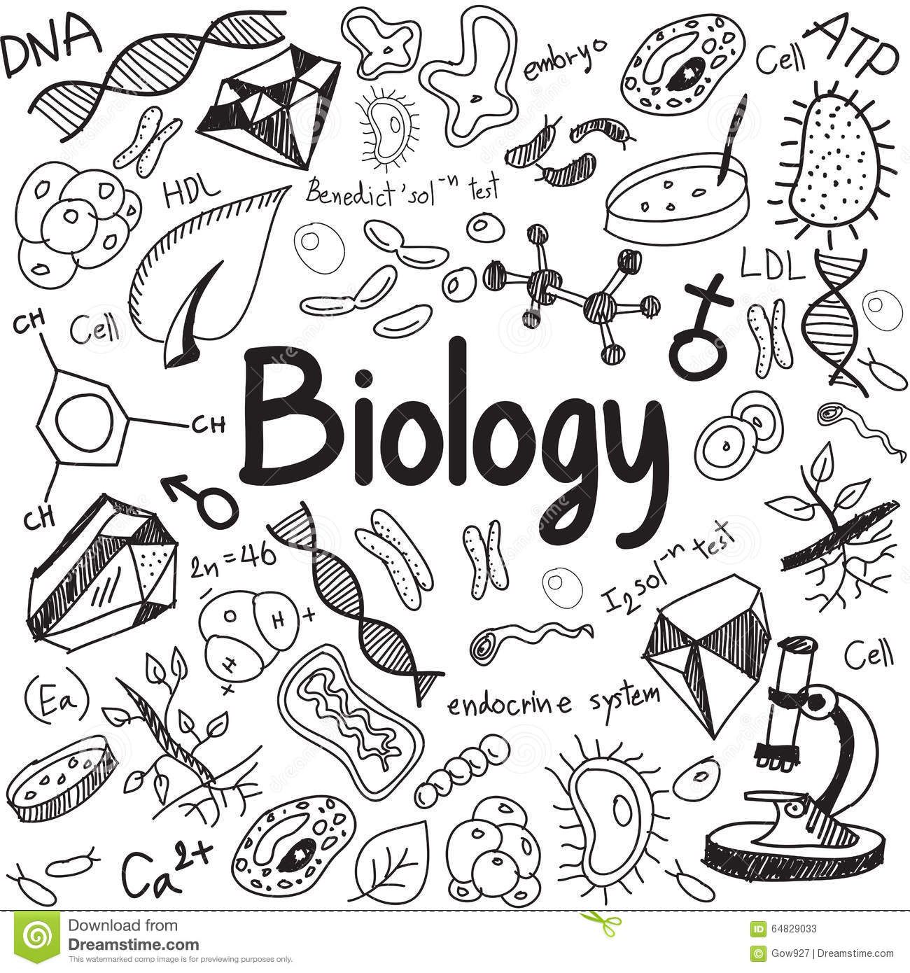 best biology drawing software free download
