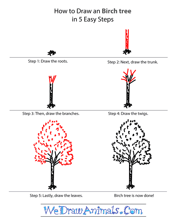 600x758 how to draw a birch tree - Birch Drawing