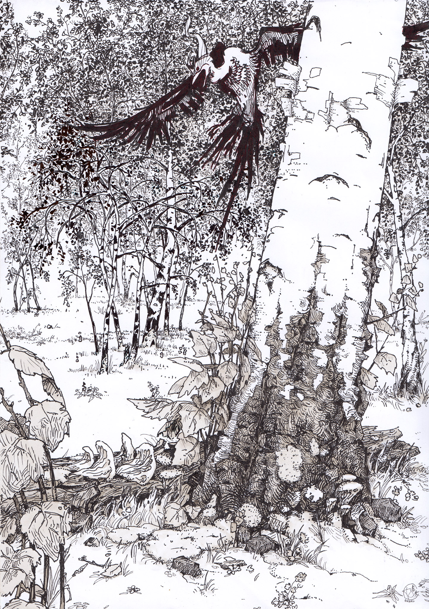 1445x2048 phoenix in a birch forest - Birch Drawing