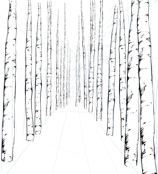 540x592 the gloom of drawing just cleared up beautifully! how to draw - Birch Drawing
