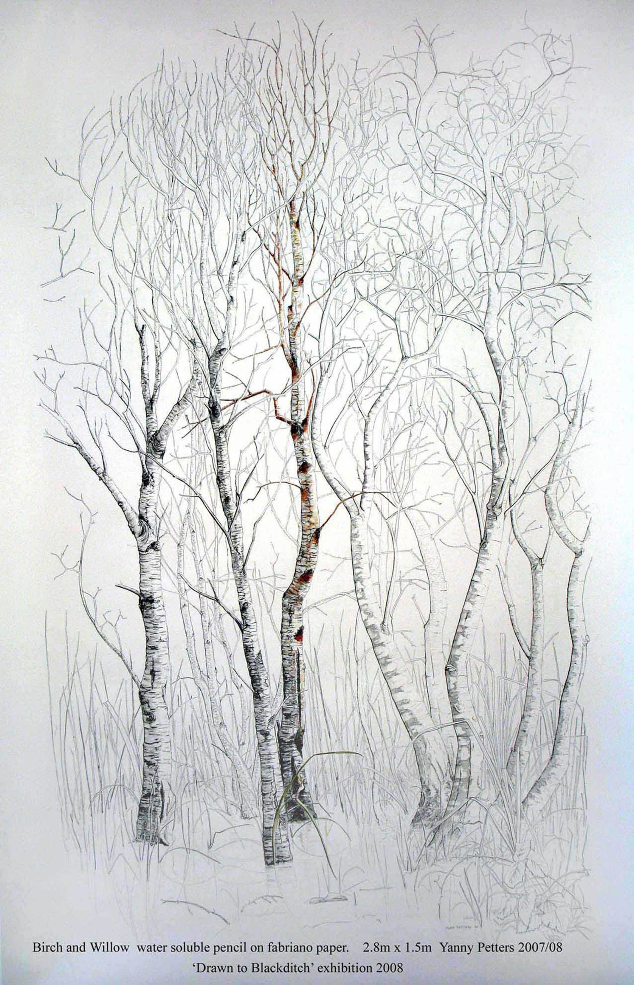 2127x3304 birch tree silhouette birch tree with owl and birds wall decal - Birch Drawing