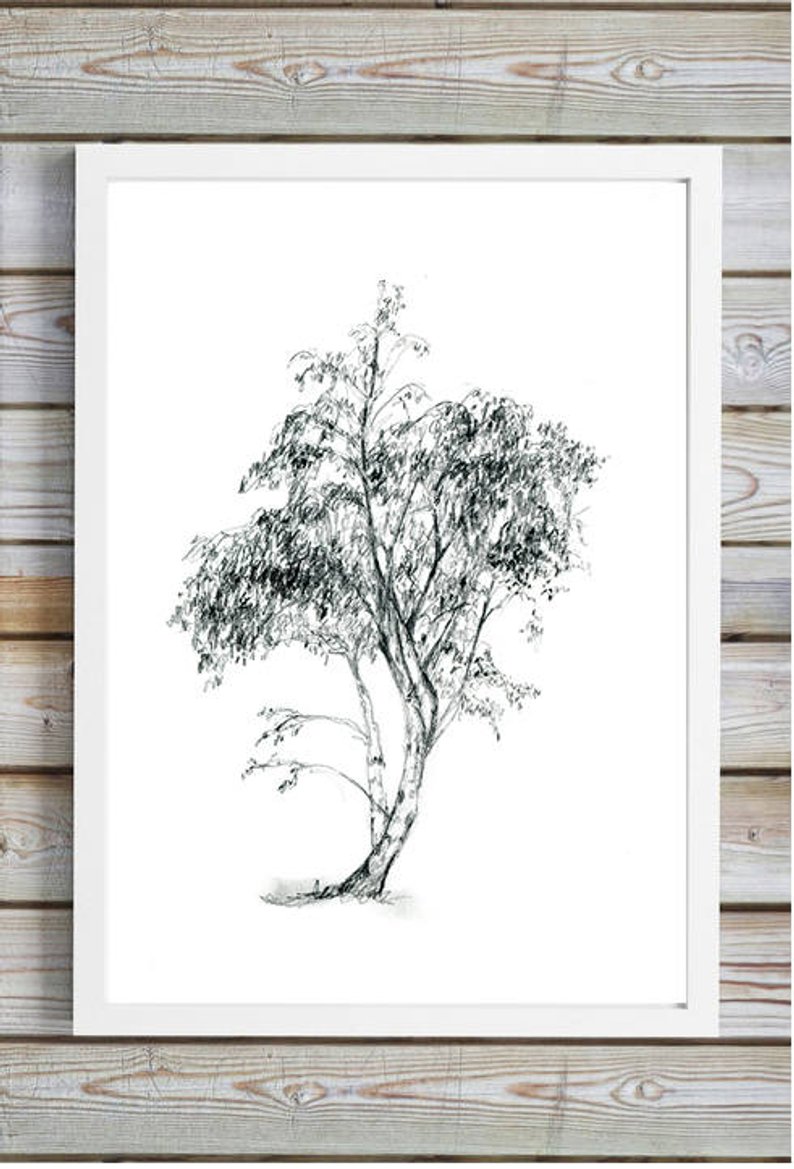 794x1169 Birch Tree Art Birch Pencil Drawing Tree Print Nature Etsy - Birch Tree Drawing