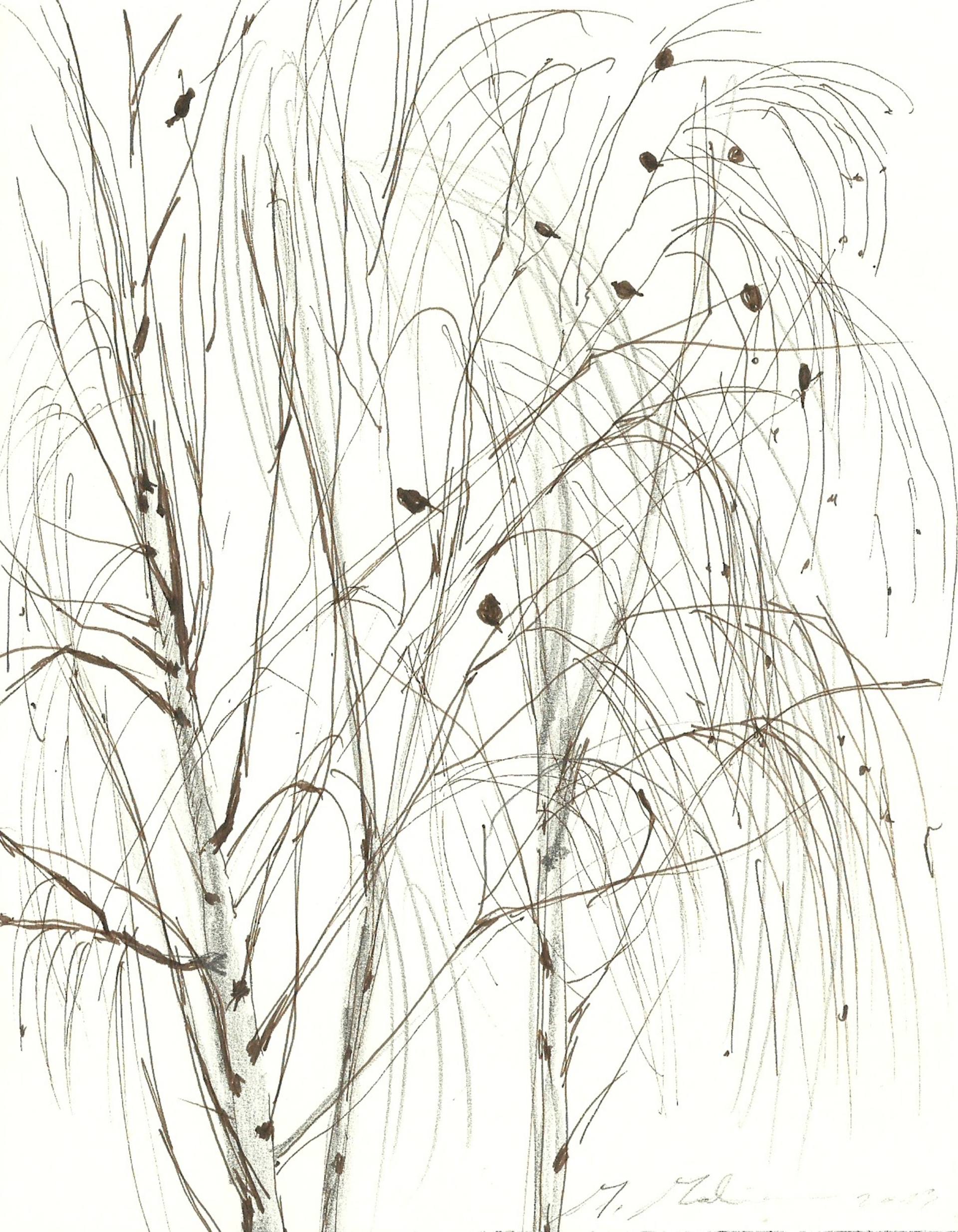 1920x2470 Crows On The Birch Trees Drawing - Birch Tree Drawing