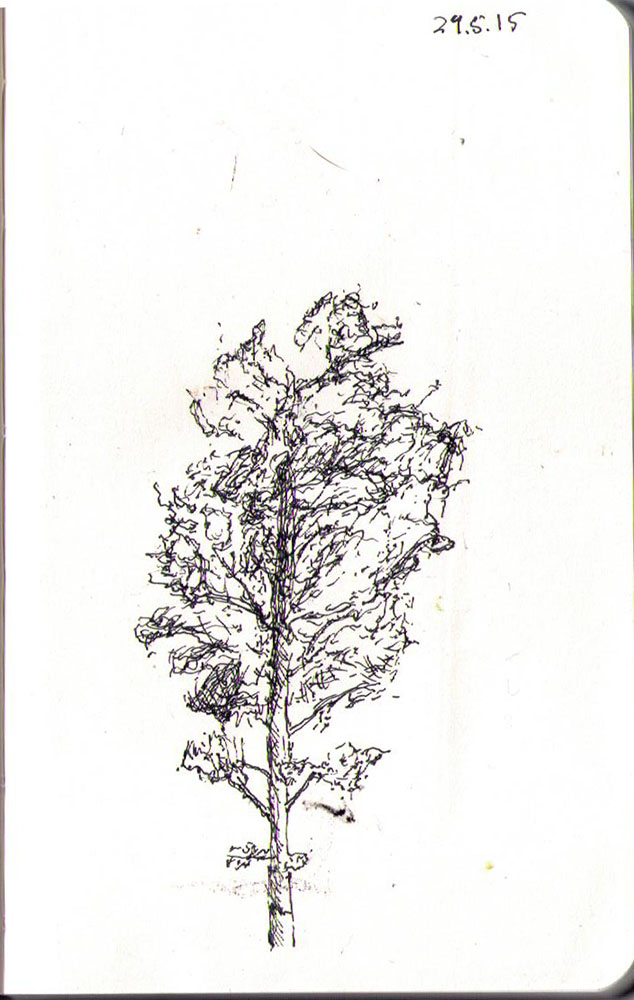 634x1000 Drawing Of A Dog In Ballpoint Pen One Drawing Daily - Birch Tree Drawing