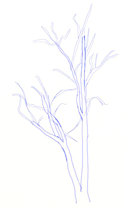 250x415 How To Draw A Birch Tree - Birch Tree Drawing