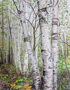 233x300 Original Pastel Drawing Birch Tree Forest Sally Porter Wildlife - Birch Tree Drawing