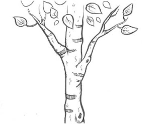 320x247 Some Birch Tree Drawings For A Trees - Birch Tree Drawing
