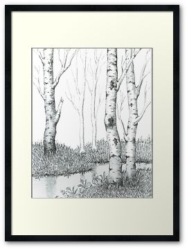 270x360 Birch Tree Art Prints - Birch Tree Drawing