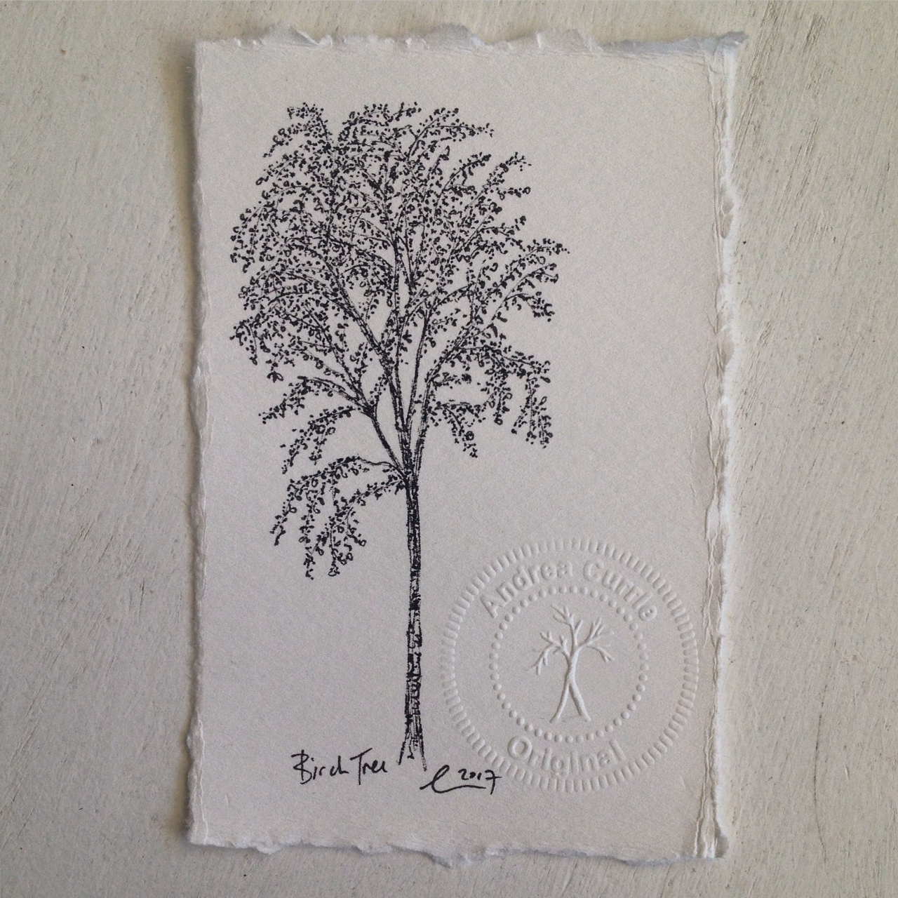 1280x1280 Birch Tree - Birch Tree Drawing