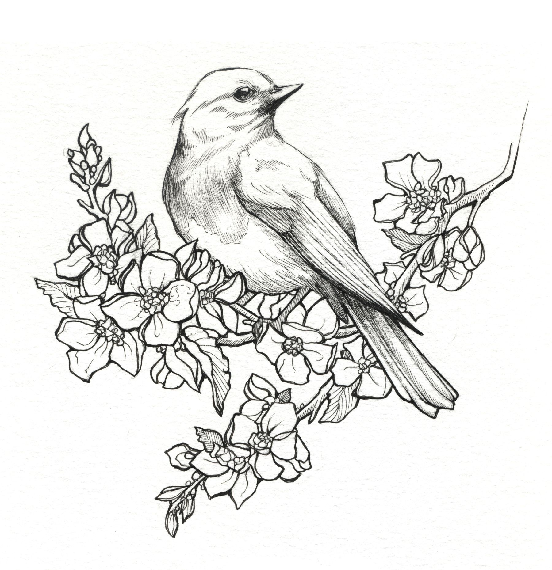 1800x1860 Birds With Flowers Drawings And Bird With Flower Drawing ...