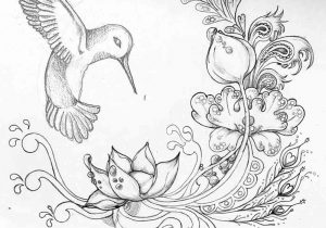 300x210 Colourful Drawings Of Birds And Flowers How To Draw A Hummingbird - Bird And Flower Drawing