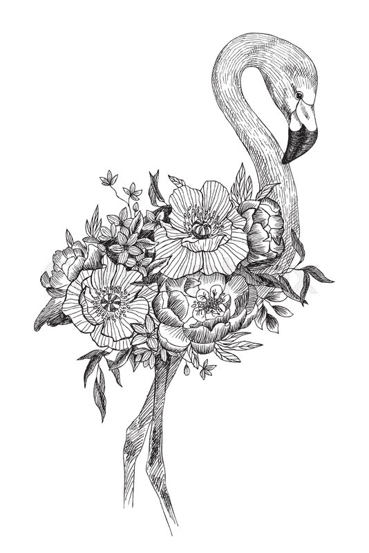 534x800 Vector Drawing Bird Flamingo With Stock Vector Colourbox - Bird And Flower Drawing