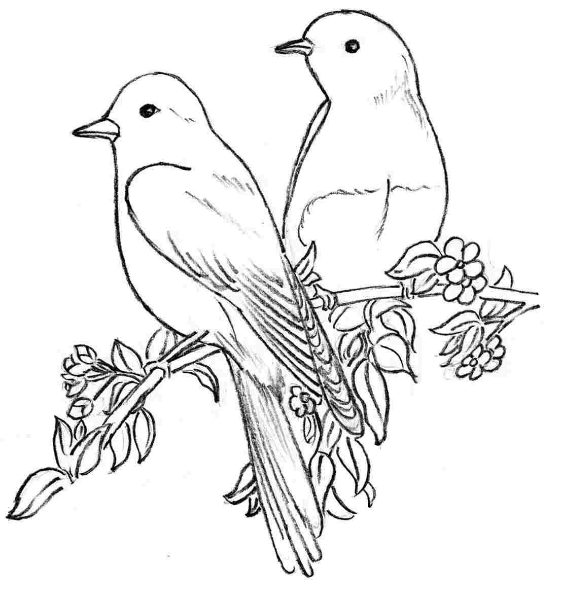 Flower Simple Birds With Flowers Drawings And Bird Drawing - Bird A...