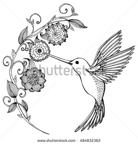 450x470 Hummingbird Drawings In Pencil - Bird And Flower Drawing