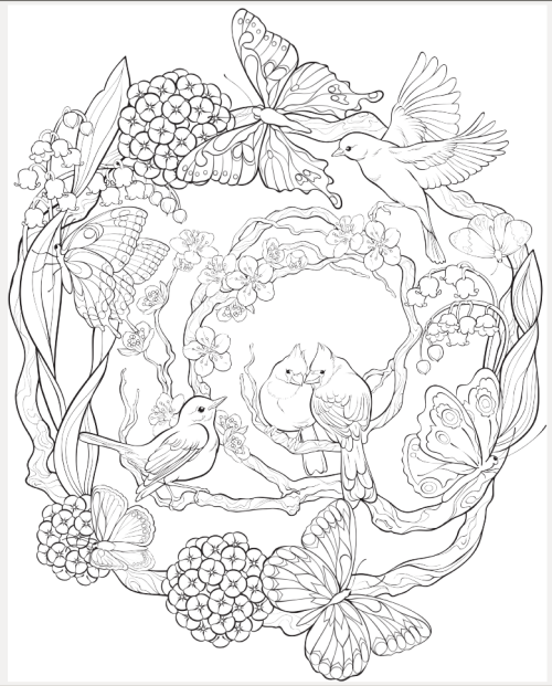500x621 Technique Identification - Bird And Flower Drawing