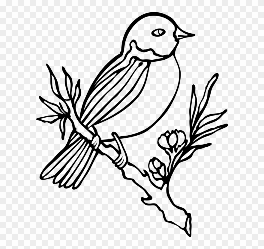 880x830 Bird Owl Drawing Flower Penguin - Bird And Flower Drawing