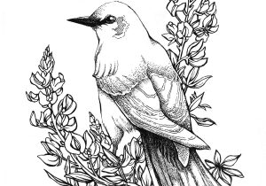 300x210 Bird With Flower Drawing Drawings Of Flowers And Birds Flower - Bird And Flower Drawing