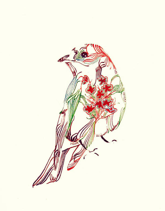 705x900 Bird And Flower Drawing - Bird And Flower Drawing
