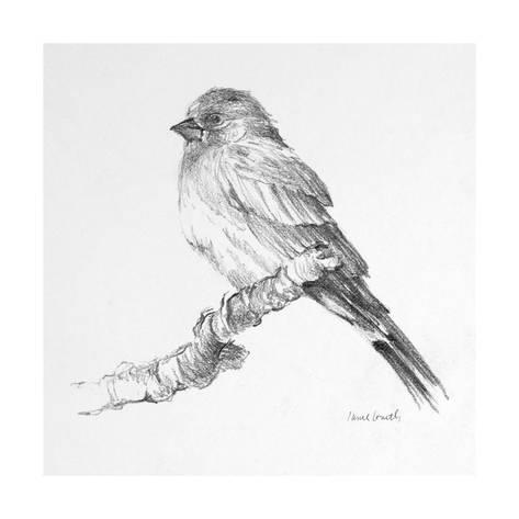 473x473 Bird Drawing I Print - Bird Drawing