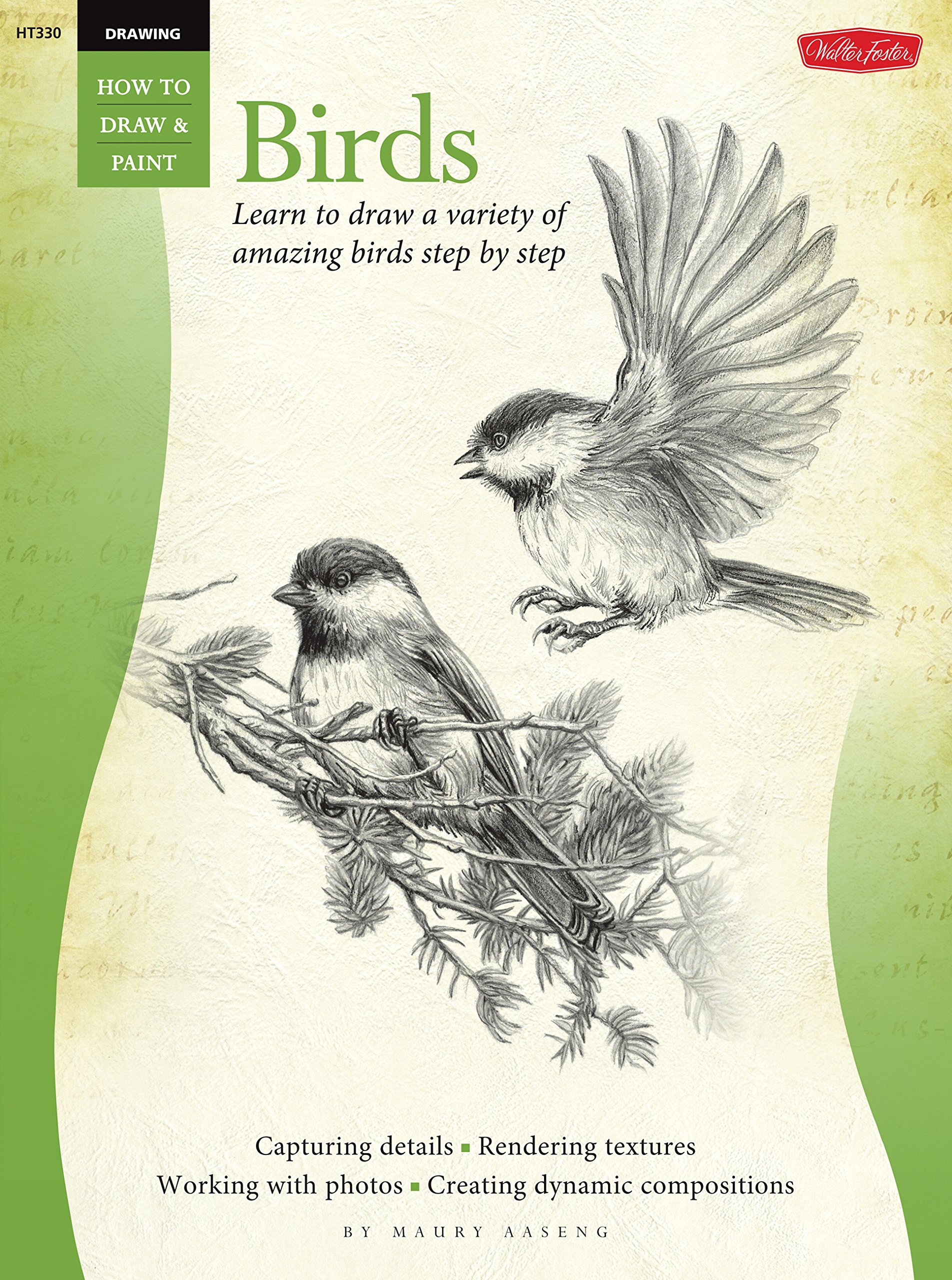 1904x2560 Drawing Birds Learn To Draw A Variety Of Amazing Birds Step - Bird Drawing Book