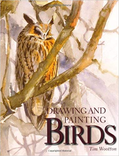 380x499 Drawing And Painting Birds Tim Wootton - Bird Drawing Book