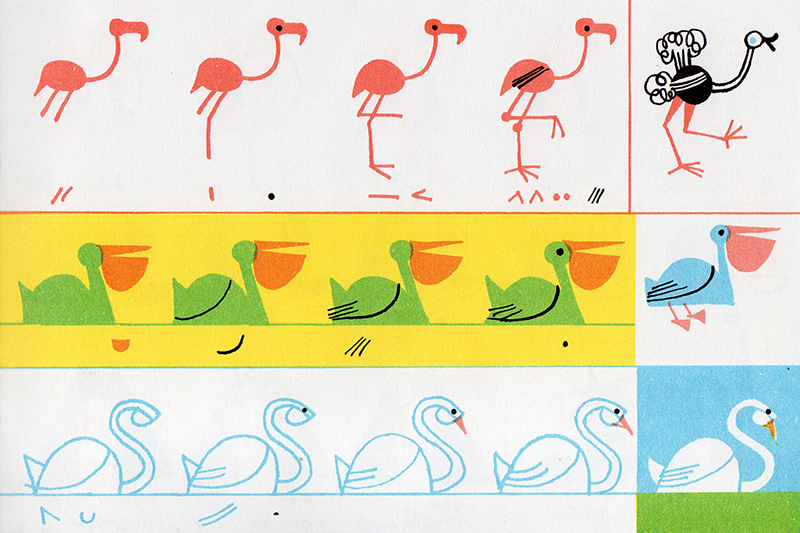 800x533 Little Drawing Book Of Birds Presentampcorrect - Bird Drawing Book