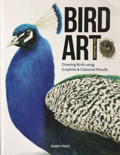 387x500 Making A Mark Review Bird Art - Bird Drawing Book
