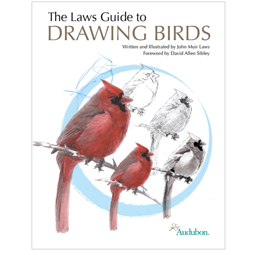 500x500 The Laws Guide To Drawing Birds - Bird Drawing Book