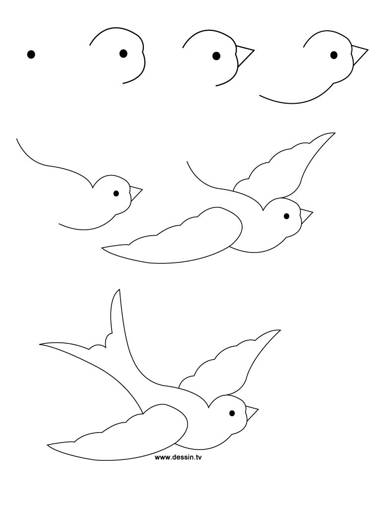 768x1024 How To Draw A Bird Step - Bird Drawing Easy